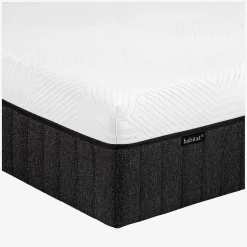 Habitat Hybride genese New