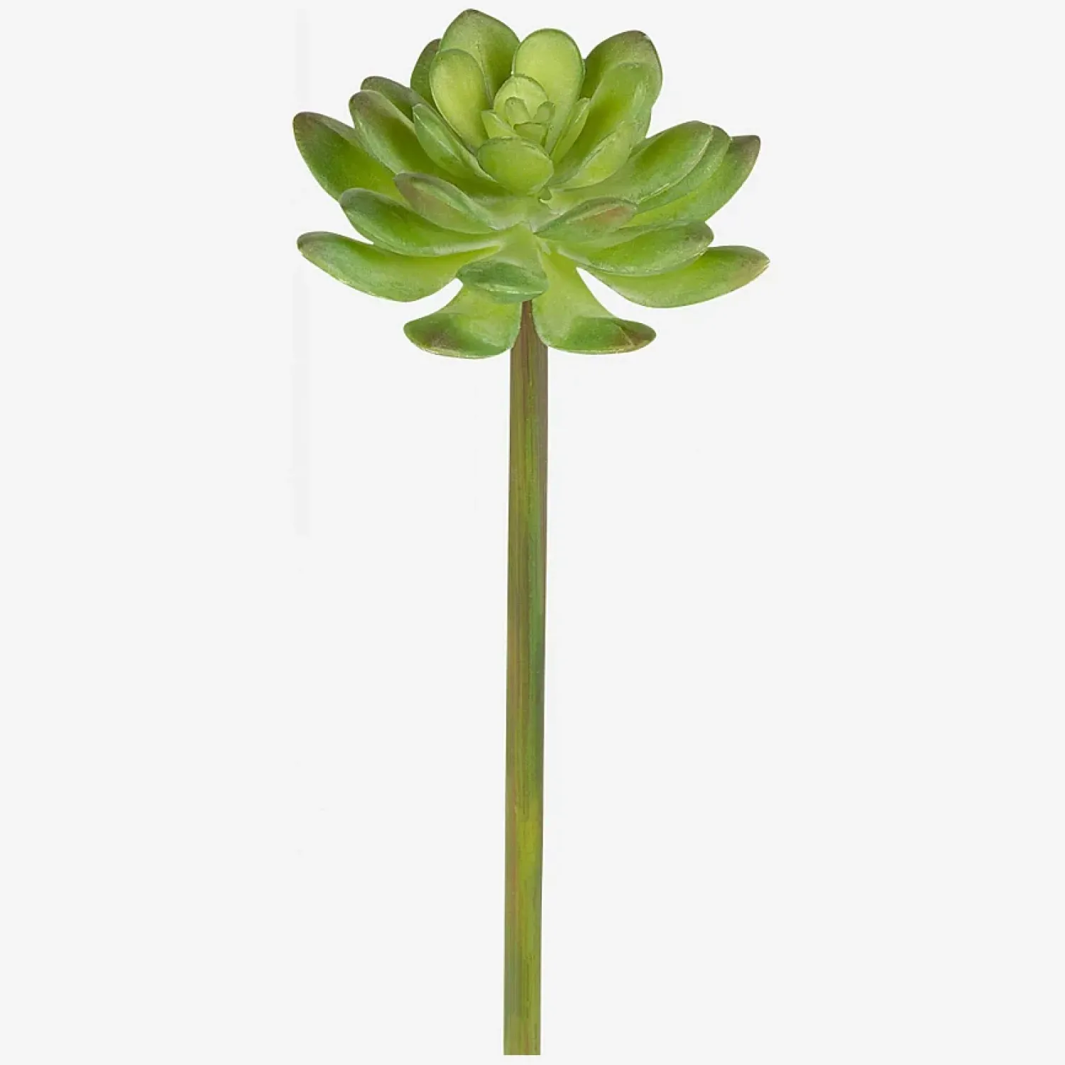 Habitat Sia green shop Clearance